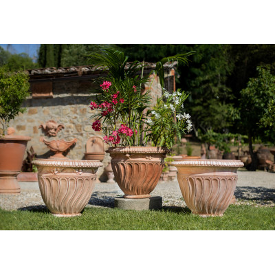 come scegliere i vasi - immagine principale