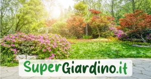 Super giardino consigli giardinaggio