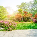 SuperGiardino